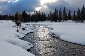 Letošní zima patřila k nejteplejším v dějinách