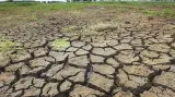 Kvůli suchu už v některých obcích dochází voda
