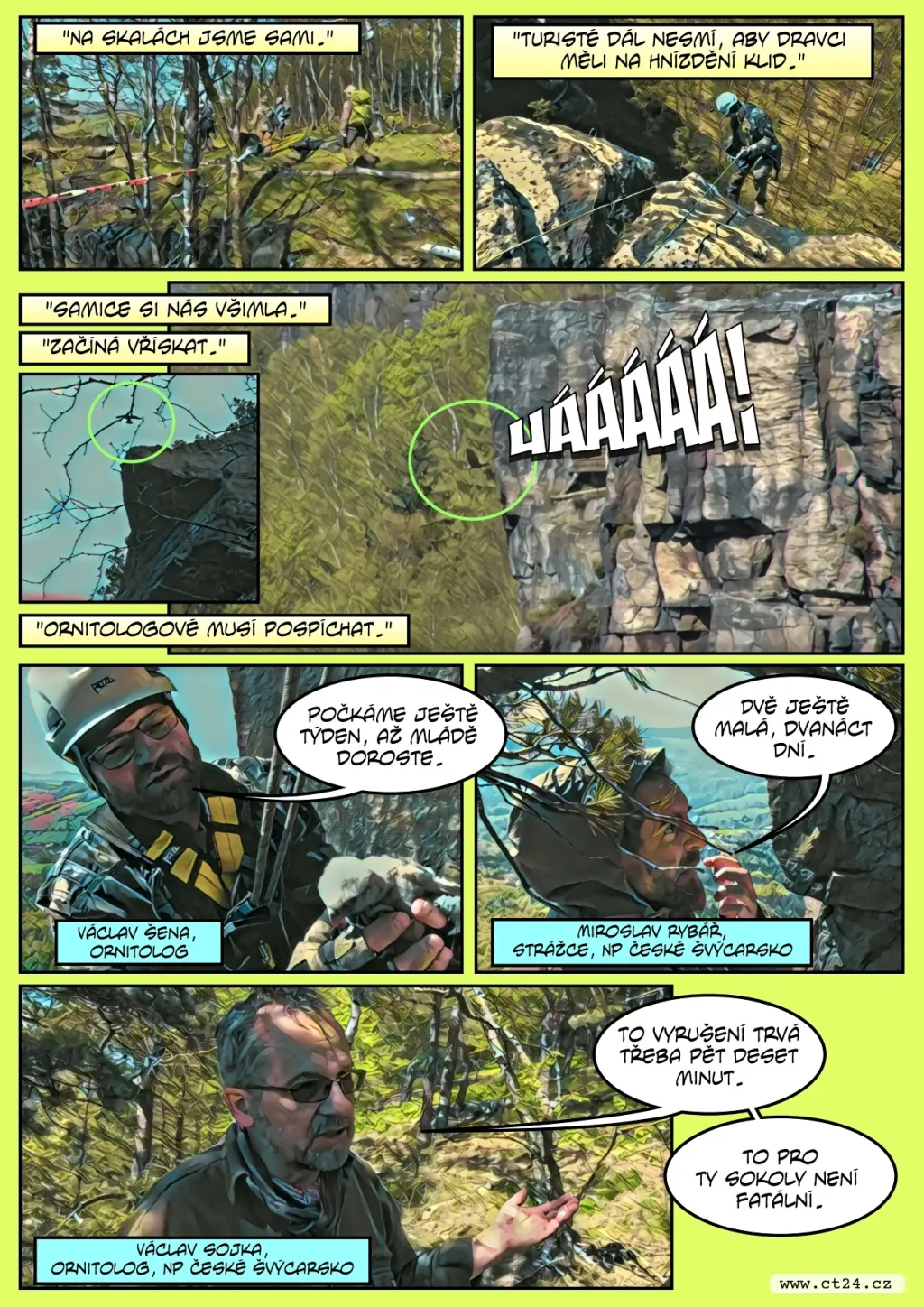 Kroužkování malých sokolů