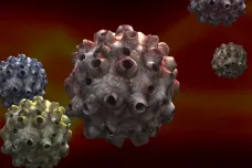 HPV virus trápil už neandertálce. Studie ukázala benefity větší proočkovanosti