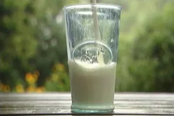 Válka o mléko se z Německa přenesla i na český trh