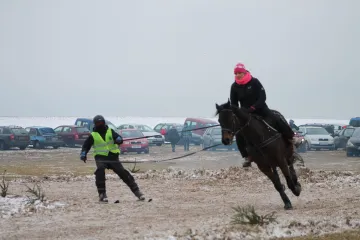 Horseskijöring v Krkonoších