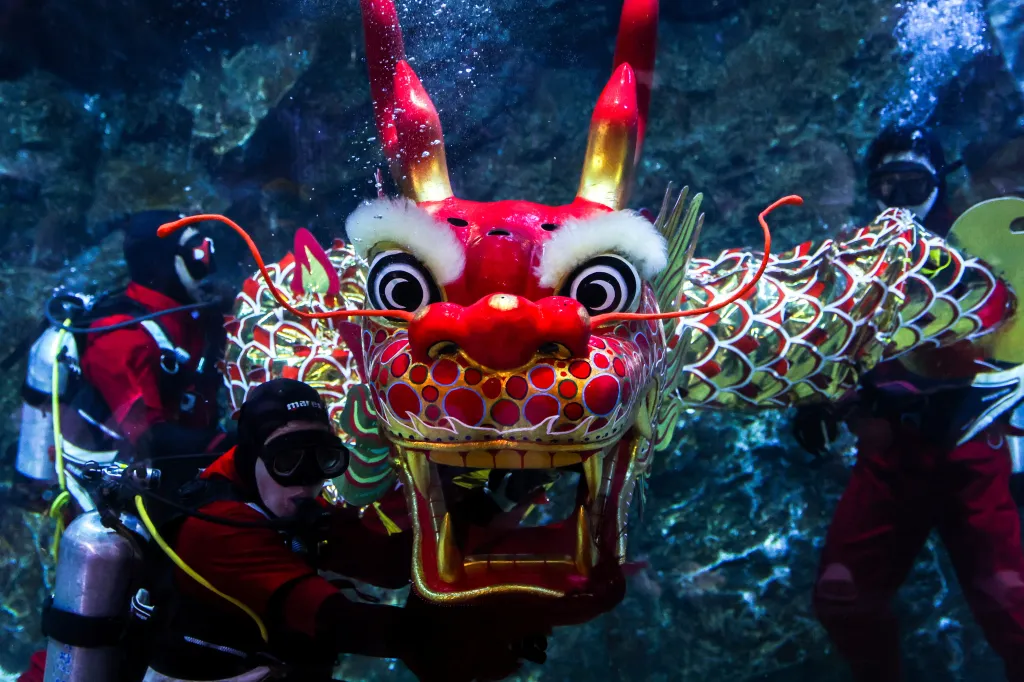 Potápěči předvádějí dračí tanec v thajském akváriu Sea Life Bangkok Ocean World