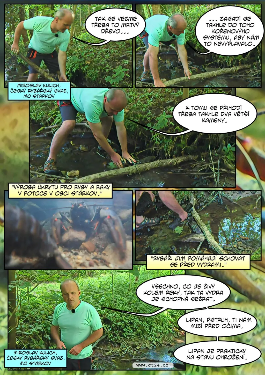 Návrat raka do přírody je ohrožen