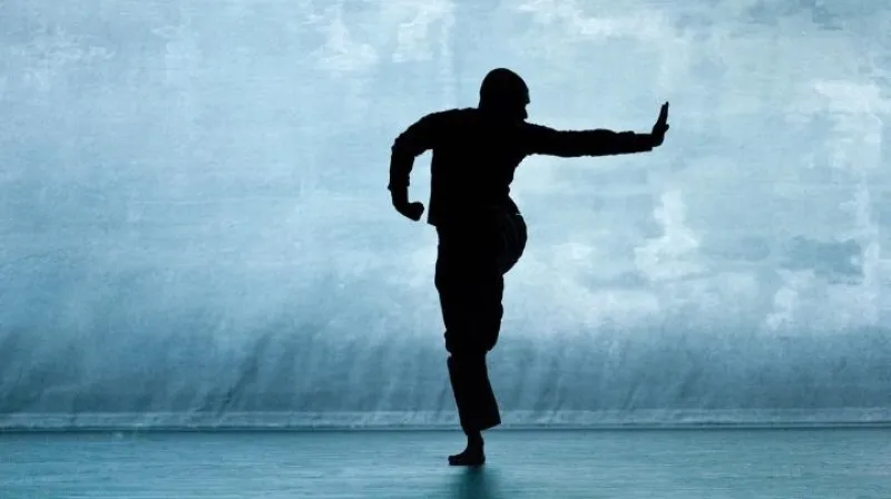 Tanec Praha 2013 / Z představení Desh