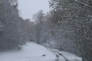 V noci se může tvořit ledovka, když zaprší