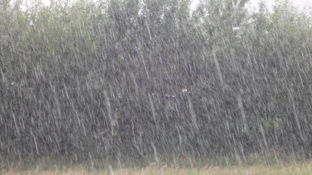 Bouřka se silným deštěm na Blanensku