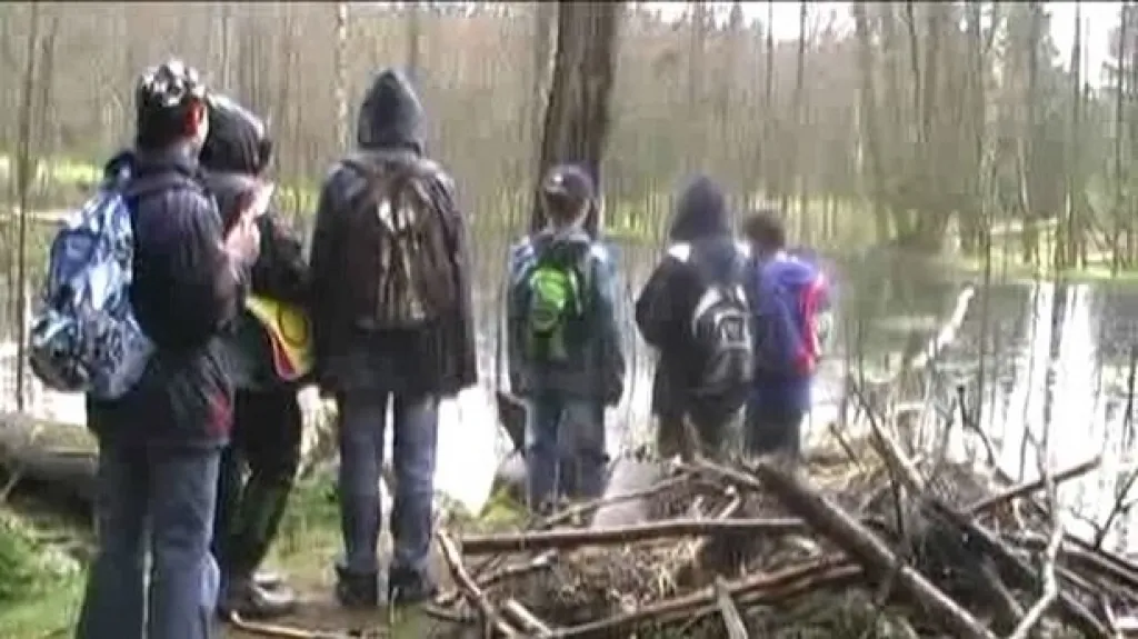 Žáci studují život v rybníku