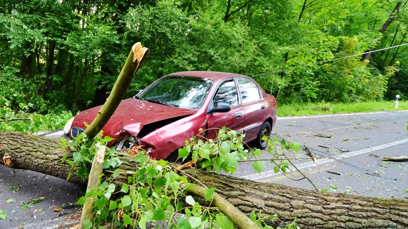 Česko zasáhly silné bouřky. Voda zatopila sklepy, vítr lámal stromy