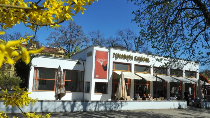 Zemanova kavárna v Brně