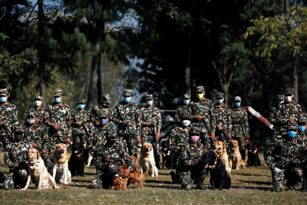 Přehlídka umění psů nepálské policie během hinduistického svátku Tihar v Bhaktapuru