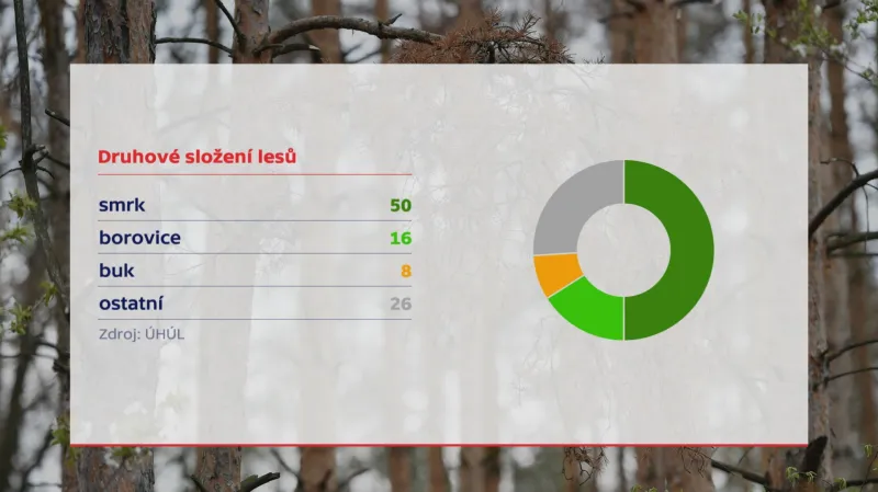 Druhové složení lesů