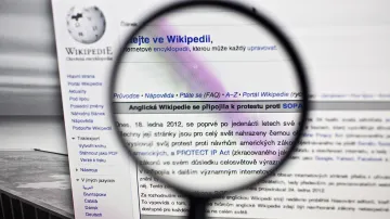 Wikipedie