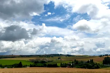 Vědci na Vysočině zkoumají dopady změny klimatu