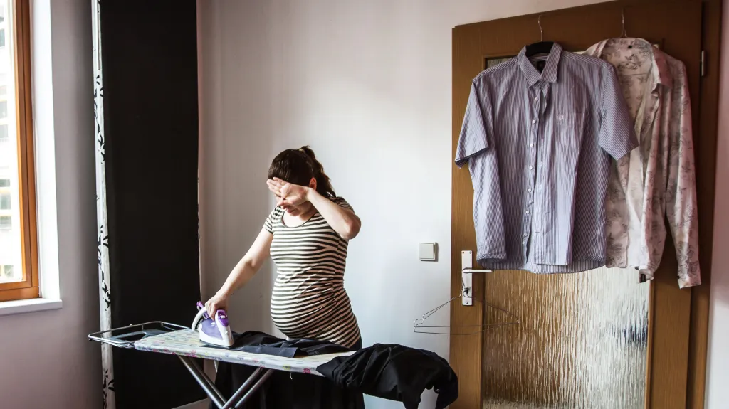 Cizinka v české domácnosti