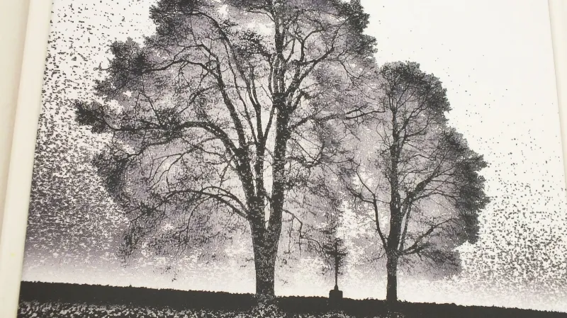 Z výstavy L. Baďurové a J. Budiše v Boskovicích