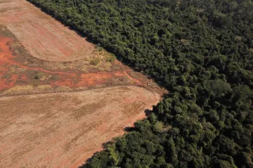 Rozsáhlý kolaps ekosystémů nastane dřív, než předpovídají klimatologové, říká studie