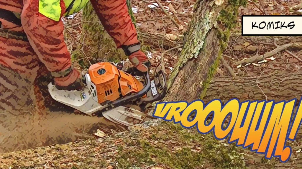 Pokácením lesa k jeho záchraně. Díky obrážení pařezů by měl být nový porost odolnější