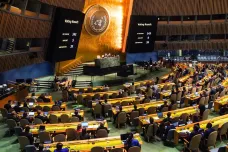Valné shromáždění OSN odsoudilo pseudoreferenda na Ukrajině. Proti hlasovalo Rusko a další čtyři země