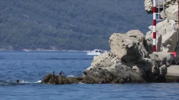 Baltské moře znepokojuje nezvykle vysokou teplotou