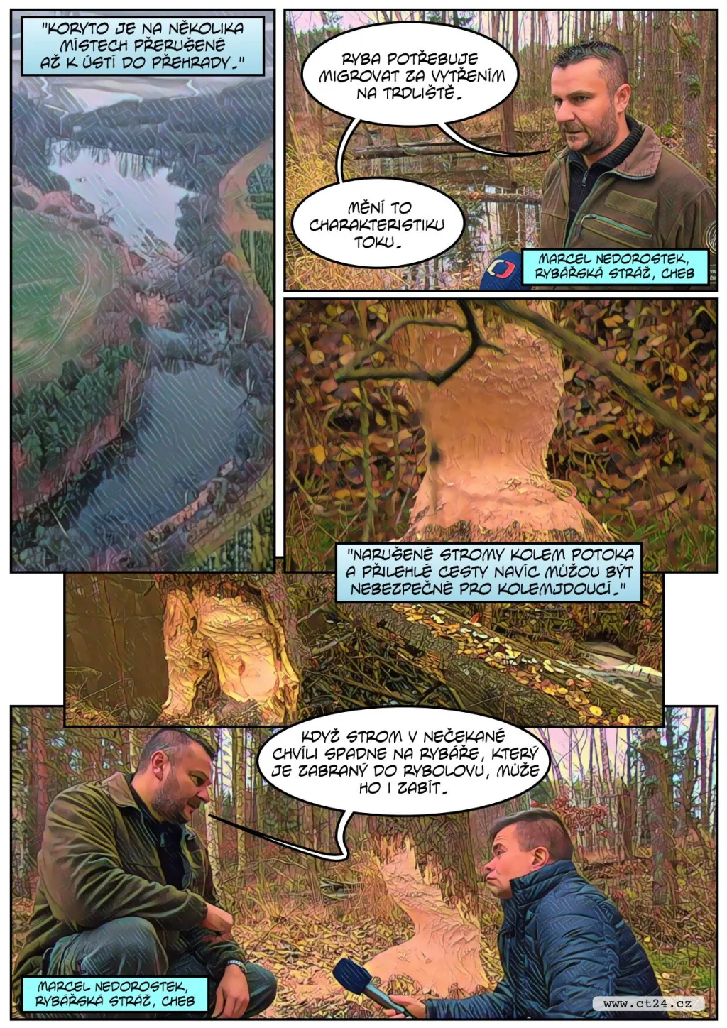 Přemnožení bobři působí velké škody. Správci rybníků se bojí o stav hrází