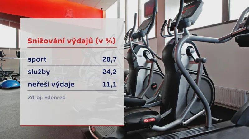 Snižování výdajů