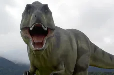 Tyranosaurus měl masitý pysk. Pokrývaly ho šupiny, popsala studie