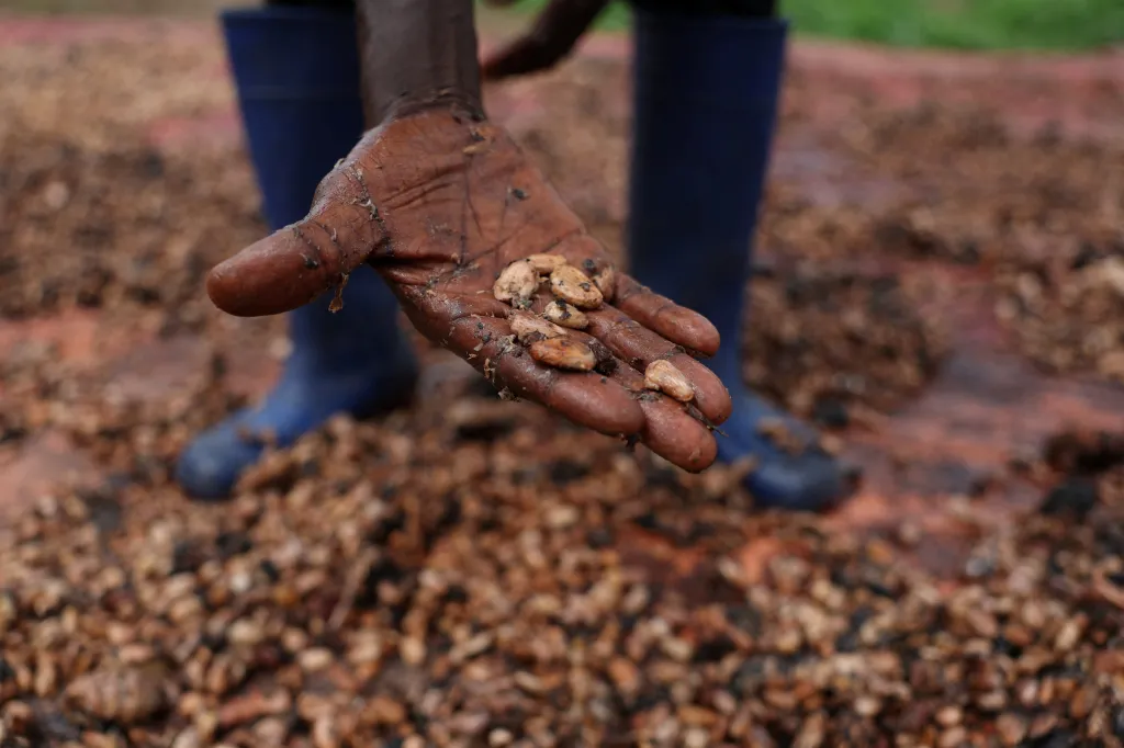 Jedním z důvodů je, že významná část nigerijských kakaových bobů, kolem 200 tisíc tun ročně, je propašována ze země, řekl agentuře Reuters ředitel výzkumu a strategie nigerijského Výzkumného ústavu pro kakao Rasheed Adedeji