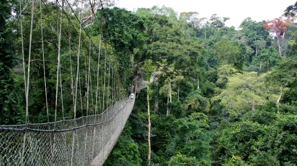 Ghanský prales