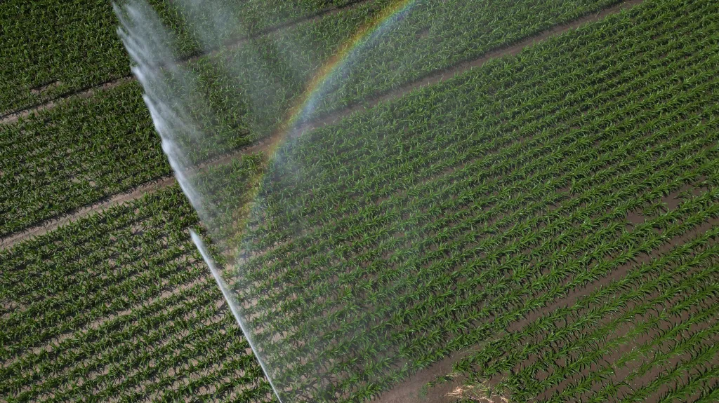 ilustrační snímek