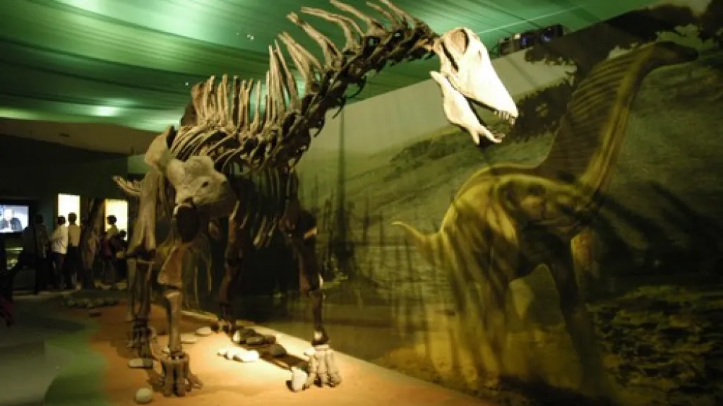 Kostra dinosaura Amargasaura