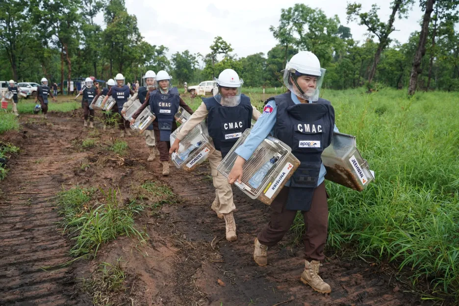 Kambodža nasadila novou generaci krysích rekrutů, aby objevili nášlapné miny v rámci snahy o odminování území