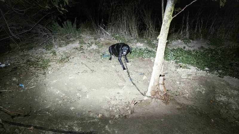 Fotografie Václava Jiráska