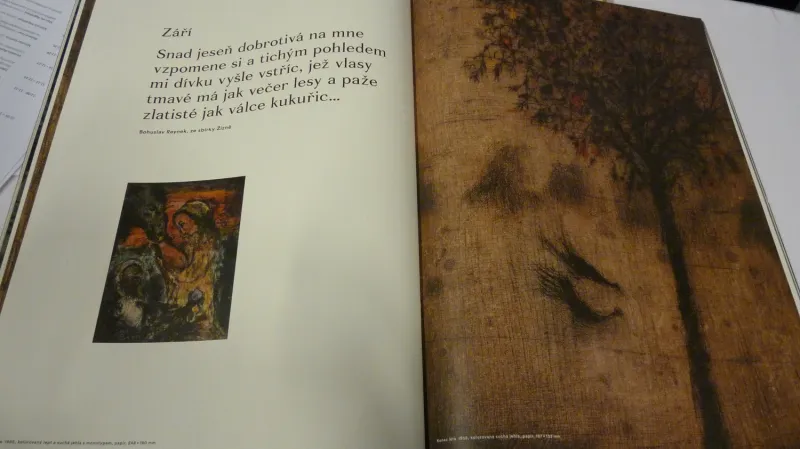 Reynek – Génius, na kterého jsme měli zapomenout