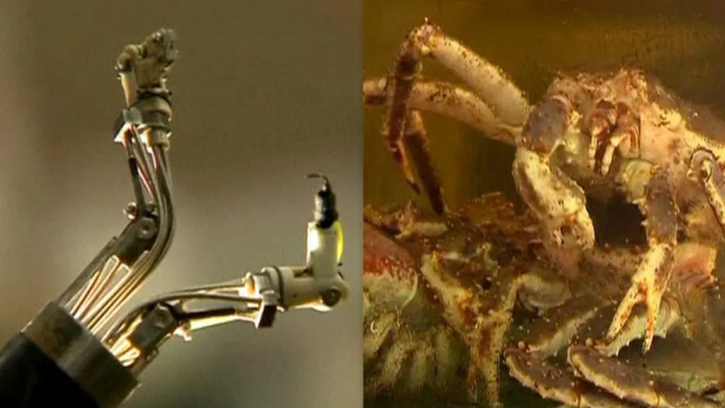 Robot Master se inspiroval u krabů