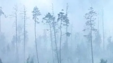 Následky požárů v Rusku