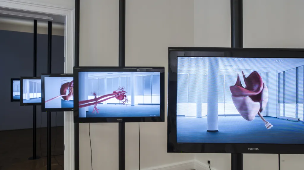 Výstava Finále CJCH 2015 / Barbora Kleinhamplová