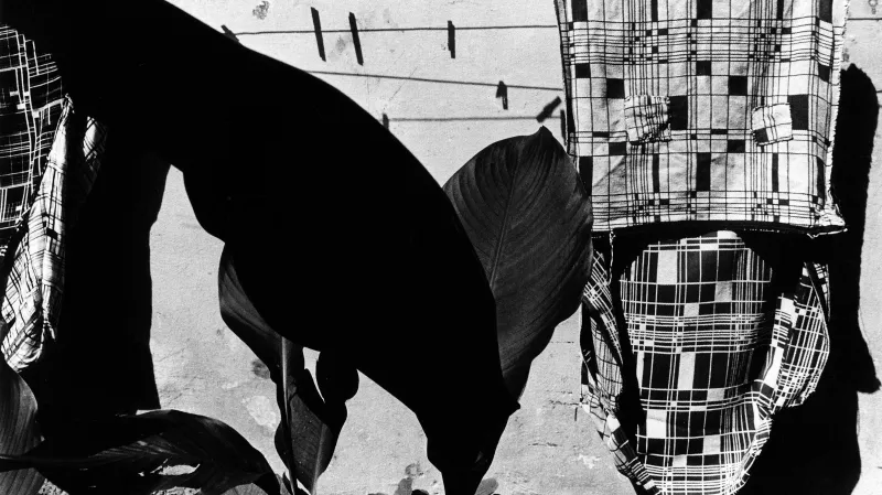 Miroslav Machotka / bez názvu, 1989