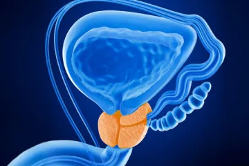 Evropská komise schválila účinný lék na rakovinu prostaty. Stojí za ním česká vědkyně