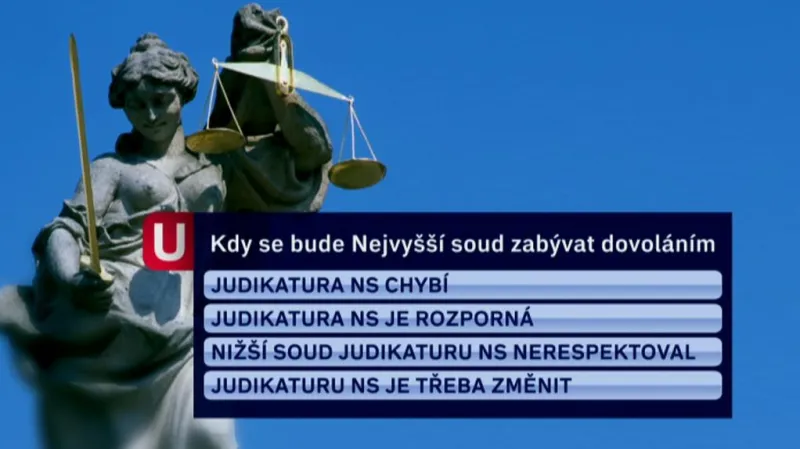 Kdy se bude NS zabývat dovoláním