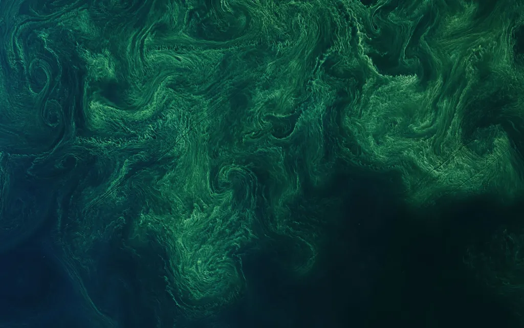 Zelené poudy jsou záznamem pravidelného přesunu velkých mas fytoplanktonu v Baltickém moři. Snímek je pořízen v létě nad jižním pobřežím Švédska