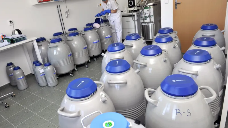 Reprodukční buňky se uchovávají při teplotě minus 196 stupňů