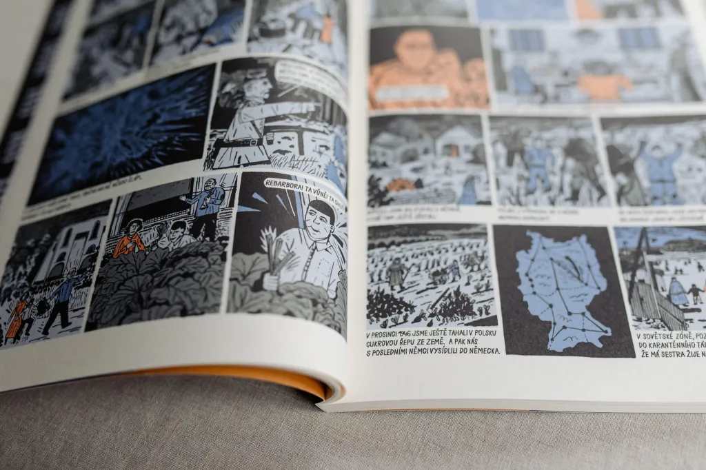 Kniha nabízí pět rozhovorů s německými pamětníky odsunutými v dětství z Československa