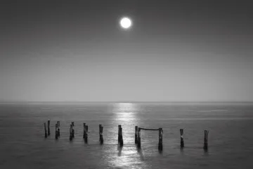 AVÍZO: Výstava fotografií G. Colliniho v Galerii 4 v Chebu