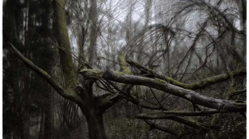 Vojtěch Aubrecht - Lento