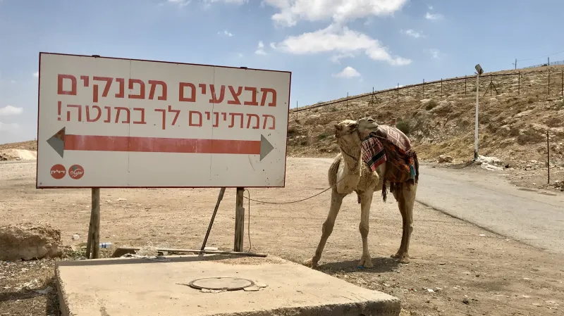 Velbloud u čerpací stanice na palestinském území