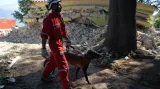 Psi záchranáři pomáhají s prohledáváním trosek po zemětřesení v Itálii