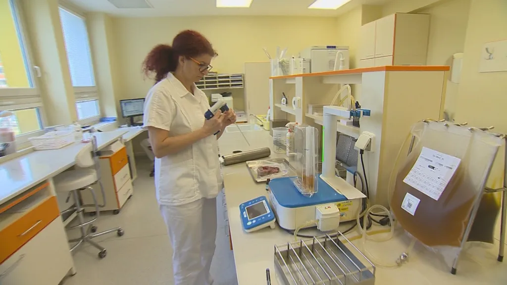 Laboratoř testující maso na salmonelu