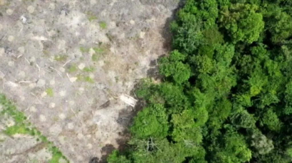 Záběr z monitorovacího letadla švýcarských ekologů