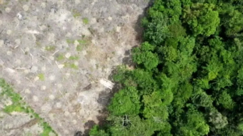 Švýcarští ekologové vynalezli efektivní monitorovací letadlo